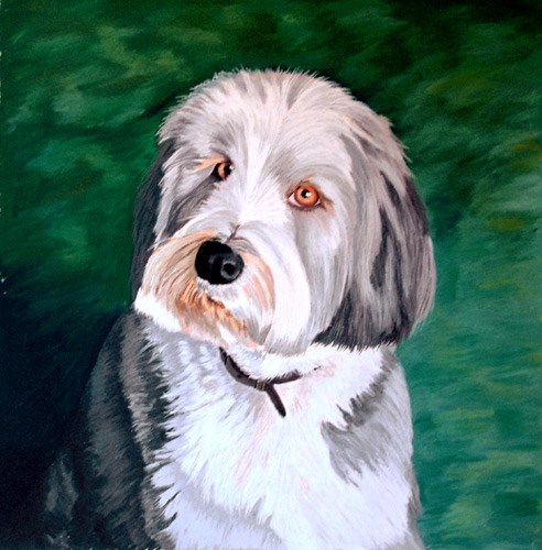 Dog Portrait Commissions