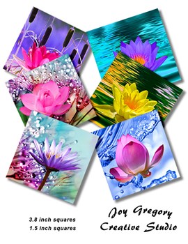 Coaster Images Waterlilies Collection 2 - 3.8 x 3.8 Inches