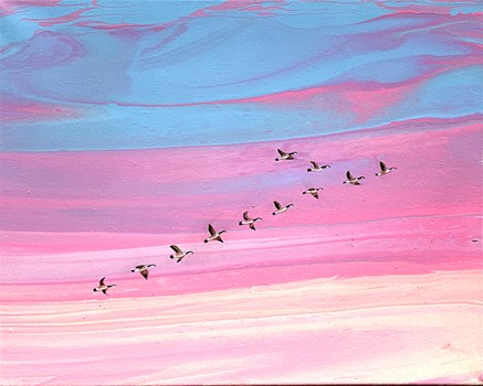 Wild Geese at Sunset