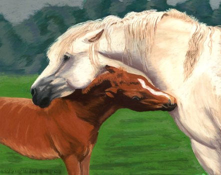 Misty and Foal