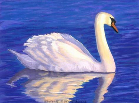 Sunset Swan