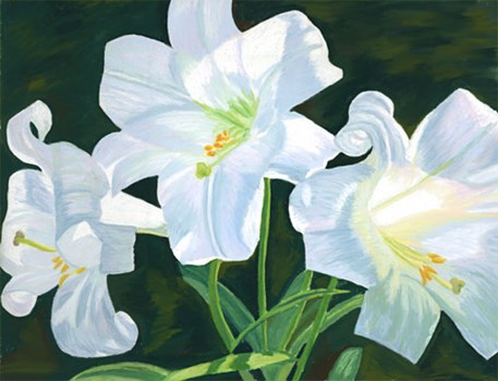 White Lilies