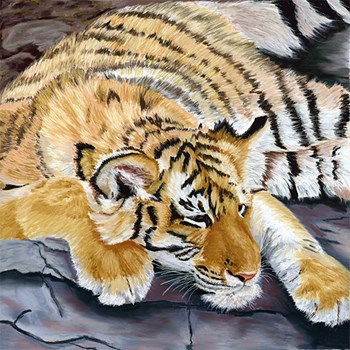 Tiger Cub