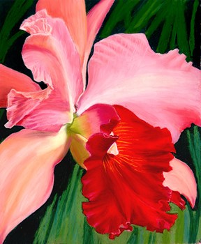 Red Orchid 1