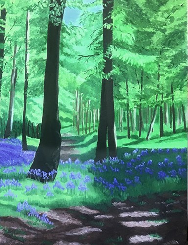 Bluebell Woods - Detail