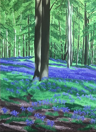 Bluebell Woods - Detail1