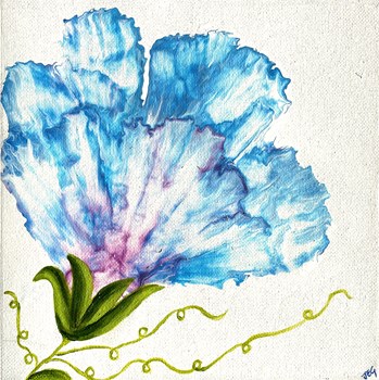 Morning Glory